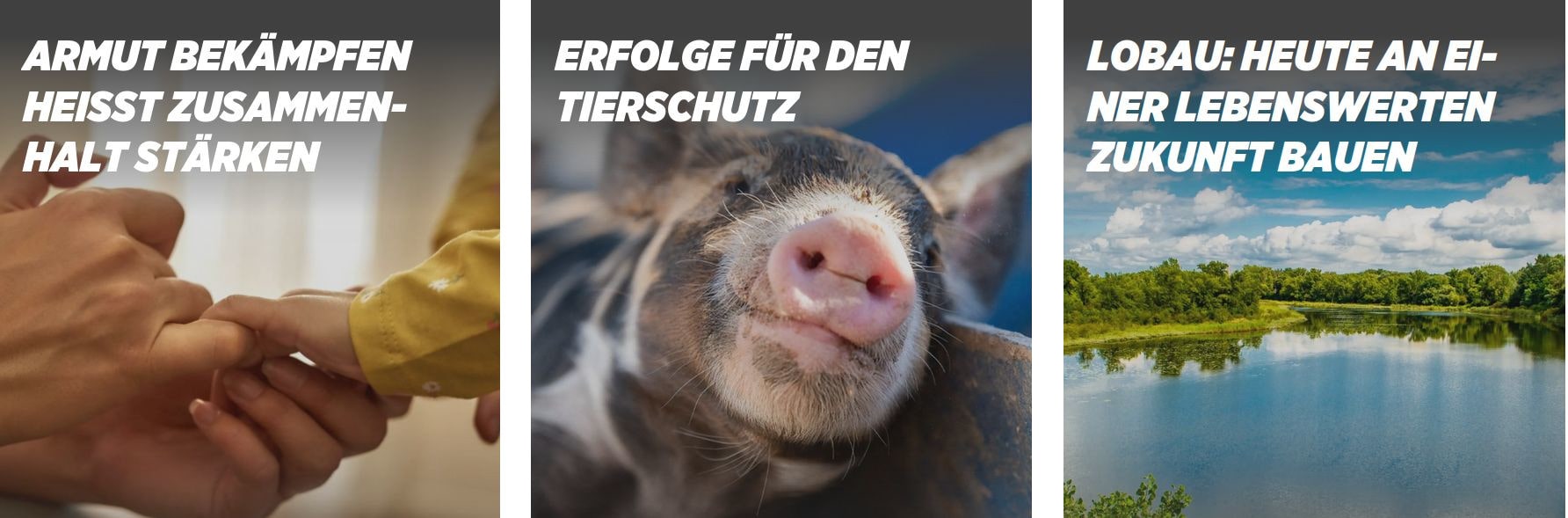 Screenshot von der Webseite